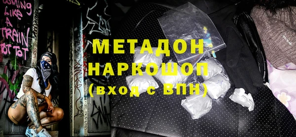 прущие грибы Горняк