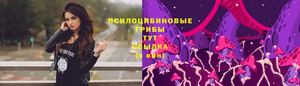 прущие грибы Горняк