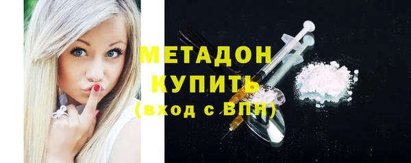 прущие грибы Горняк