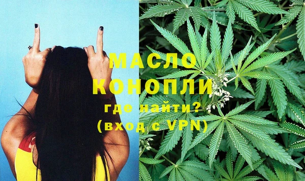 прущие грибы Горняк
