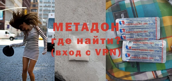 прущие грибы Горняк