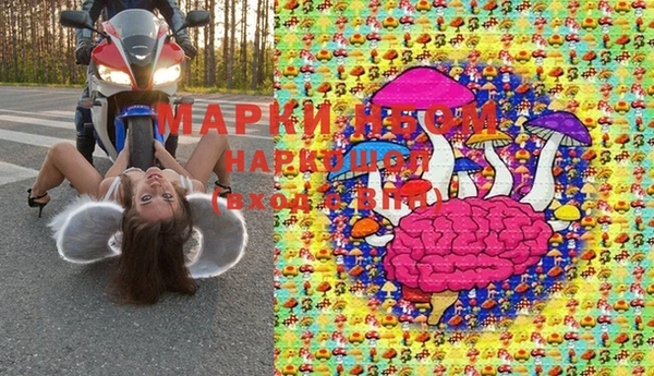 прущие грибы Горняк