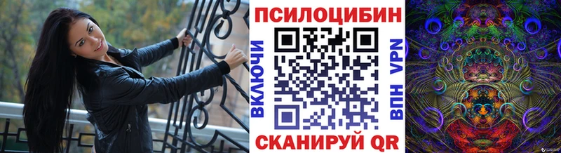 Псилоцибиновые грибы Cubensis Елизово