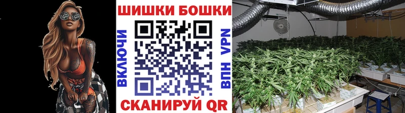 где купить наркоту  Елизово  Бошки марихуана ГИДРОПОН 